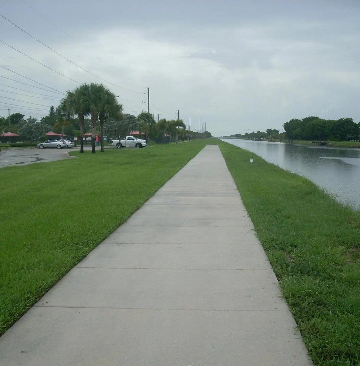 Tamarac