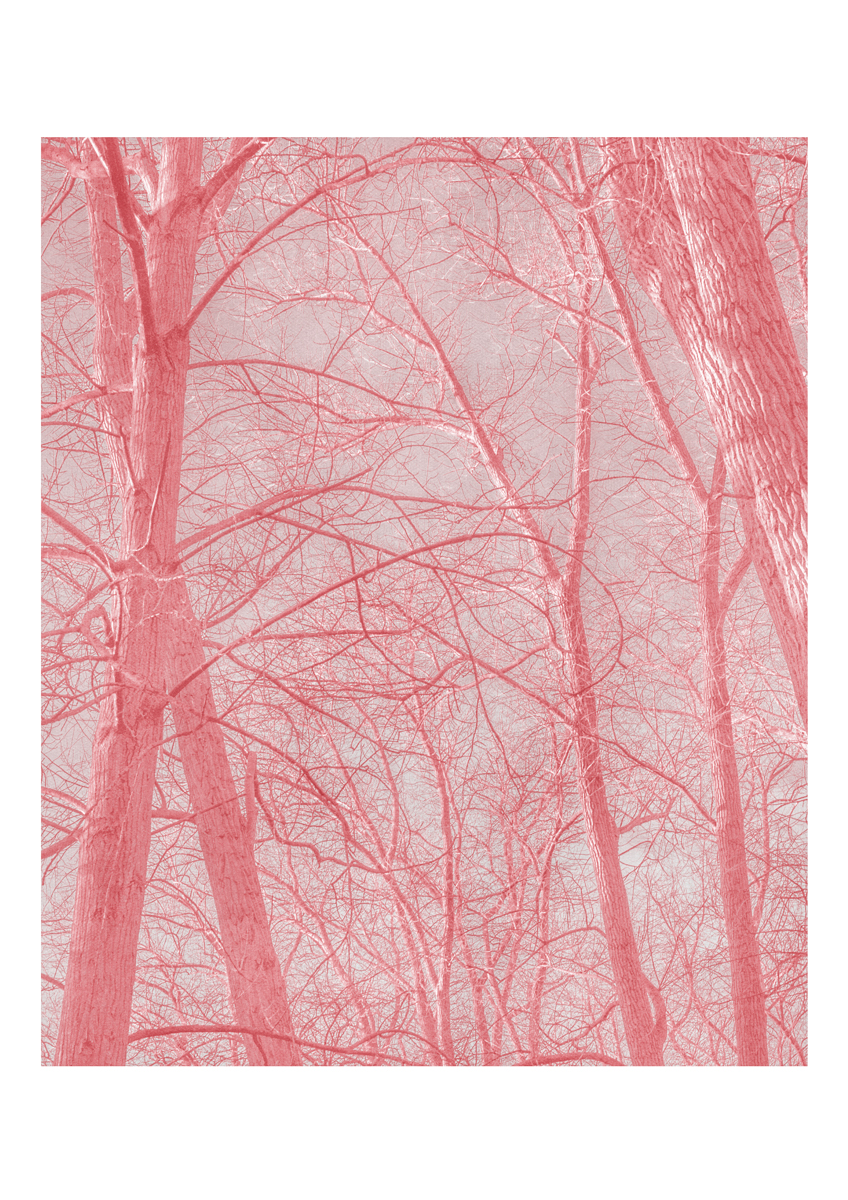 1E - Altered Landscape