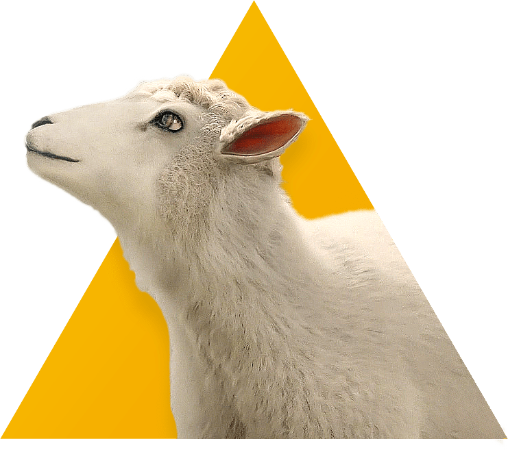 Ray The Sheep On Array S Domestic Content - High Quality Ultra HD Dark Pictures | Free Download