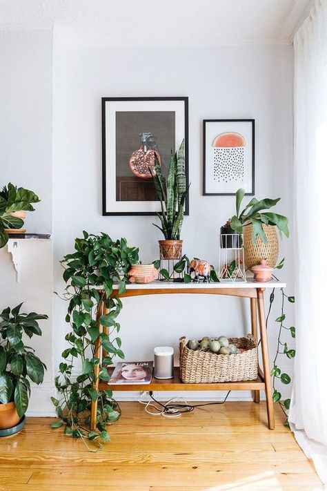 Il bambù · areca palmata · la chlorophytum comosum (falangio) · la melissa officinalis · epipremnum aureum (photos) · agave · il nephrolepis · ora che . 7 Piante Per Portare La Natura Nel Vostro Ufficio Arreda Con Sara