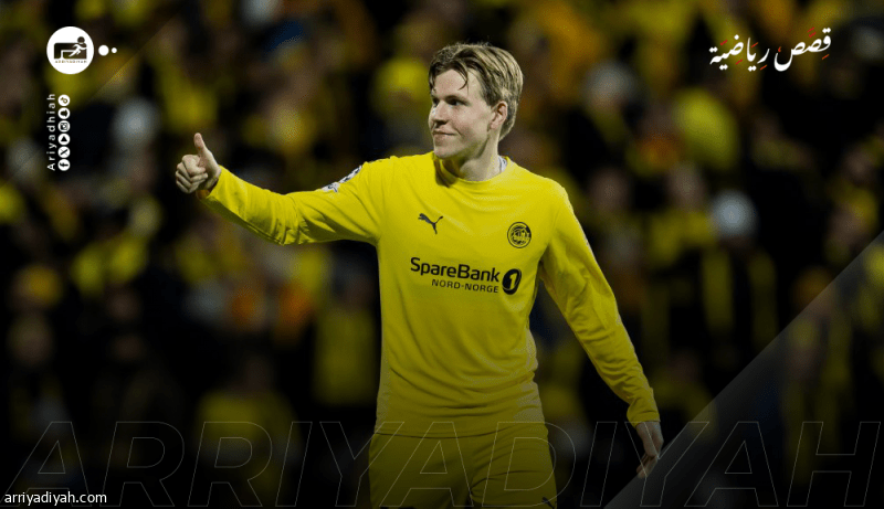 هاوجي.. معجزة &laquo;بودو&raquo;.. وكابوس كبار أوروبا