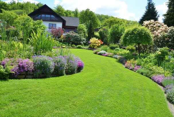 How to Plan Yard Designs You'll Love at Any Size?