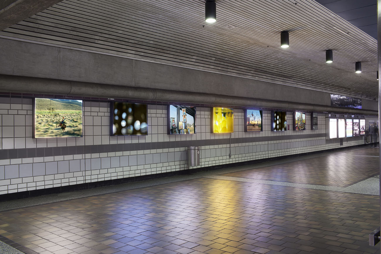 Diane Meyer, Born on a Train Lightbox