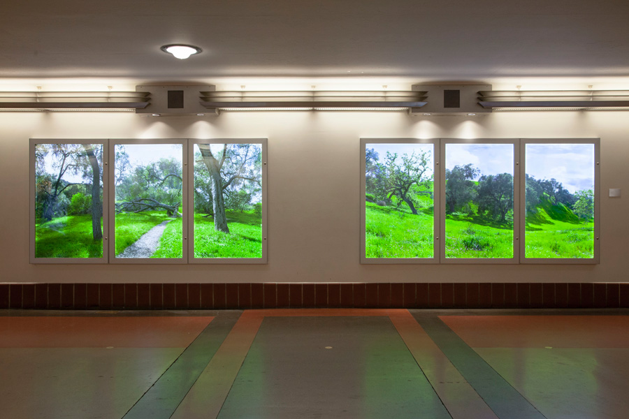 Ken Gonzales-Day, Divining Los Angeles Landscapes: Woodlands to Watersheds