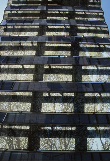Merge Conceptual Design, "Out of Sight" (detail)