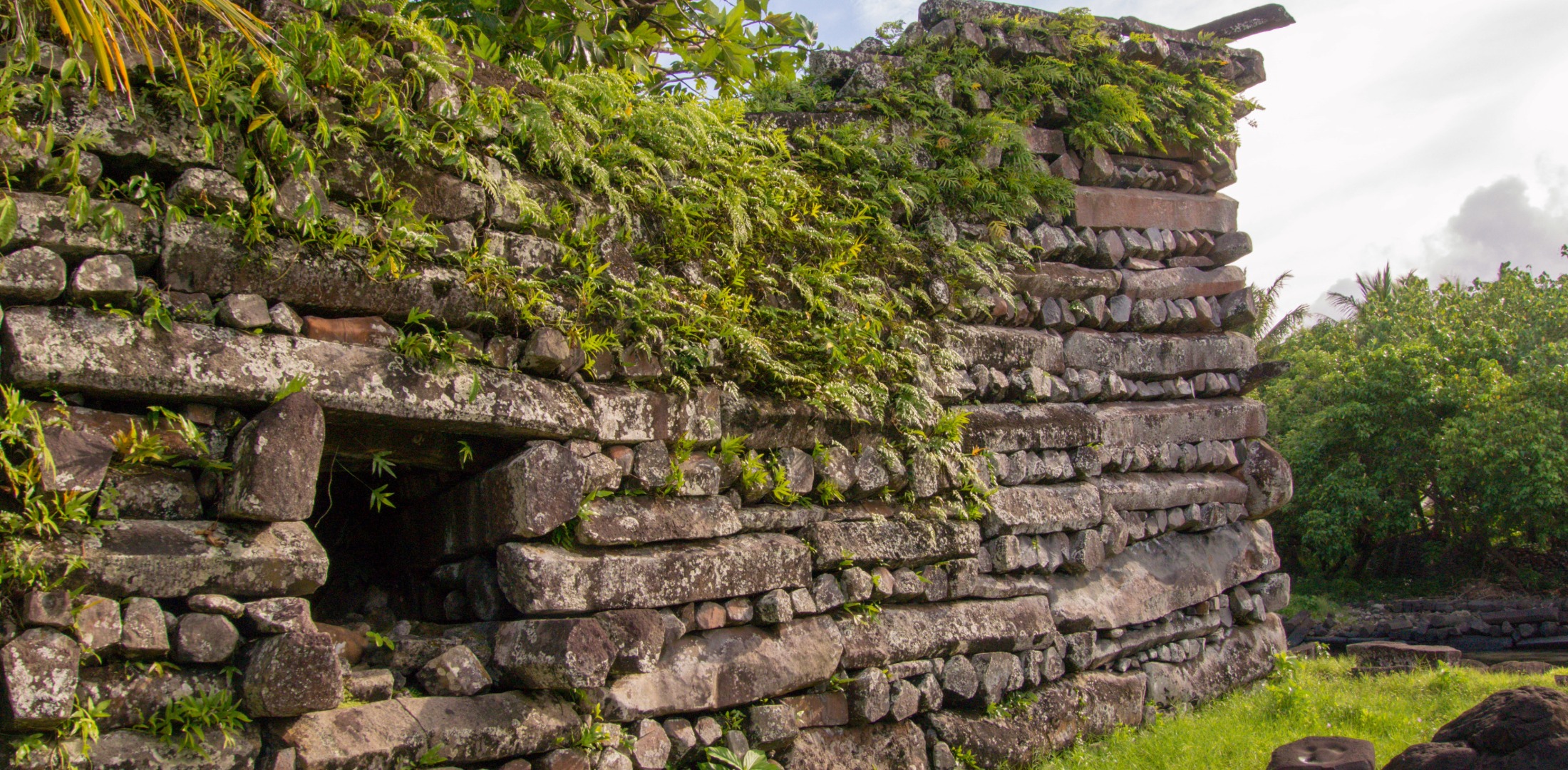 AUSTRALIA & OCEANIA SOCIETIES