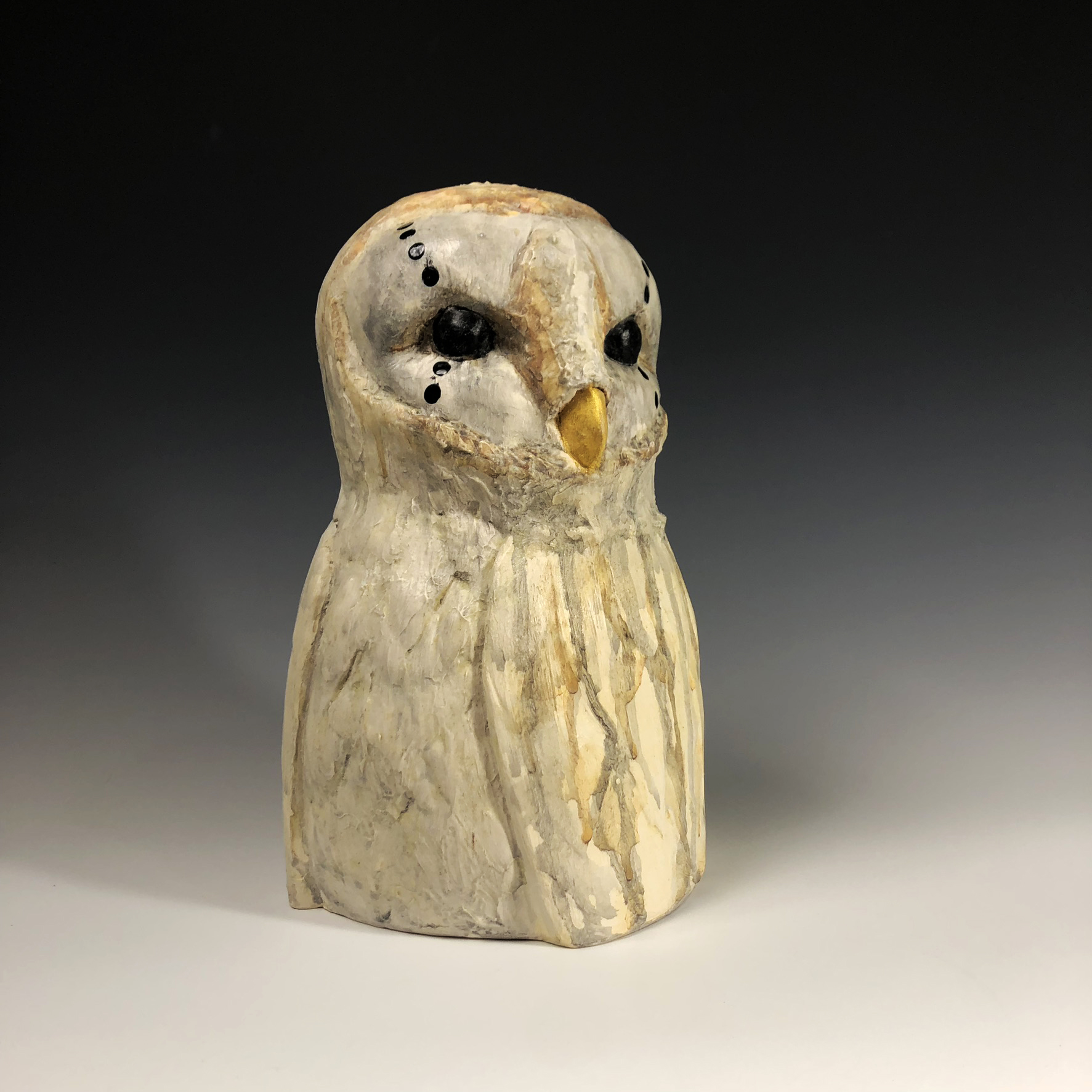 BarnOwl