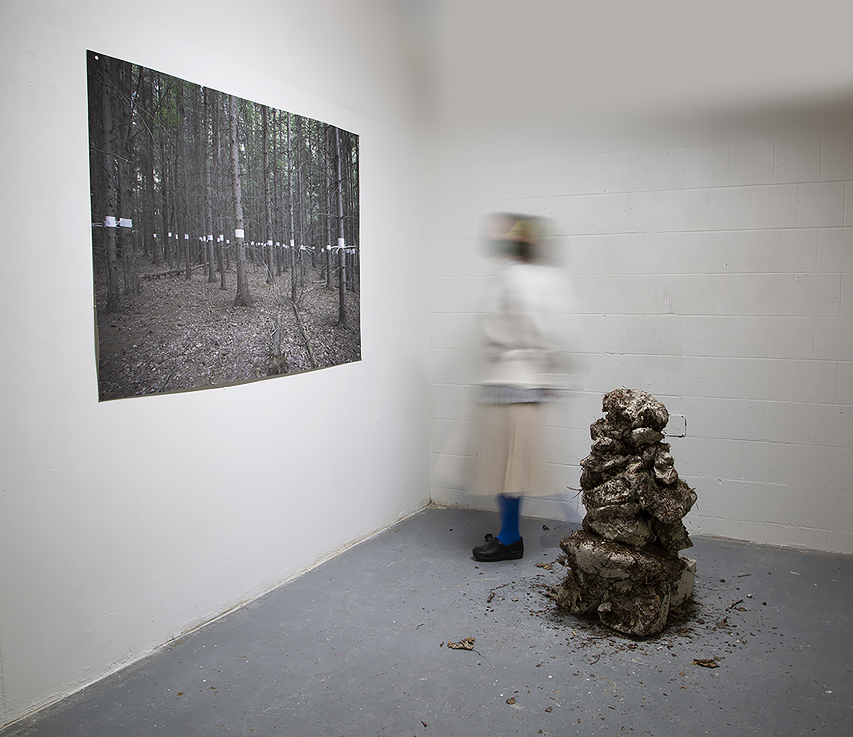 Marianne Chénard - Artaxis.org