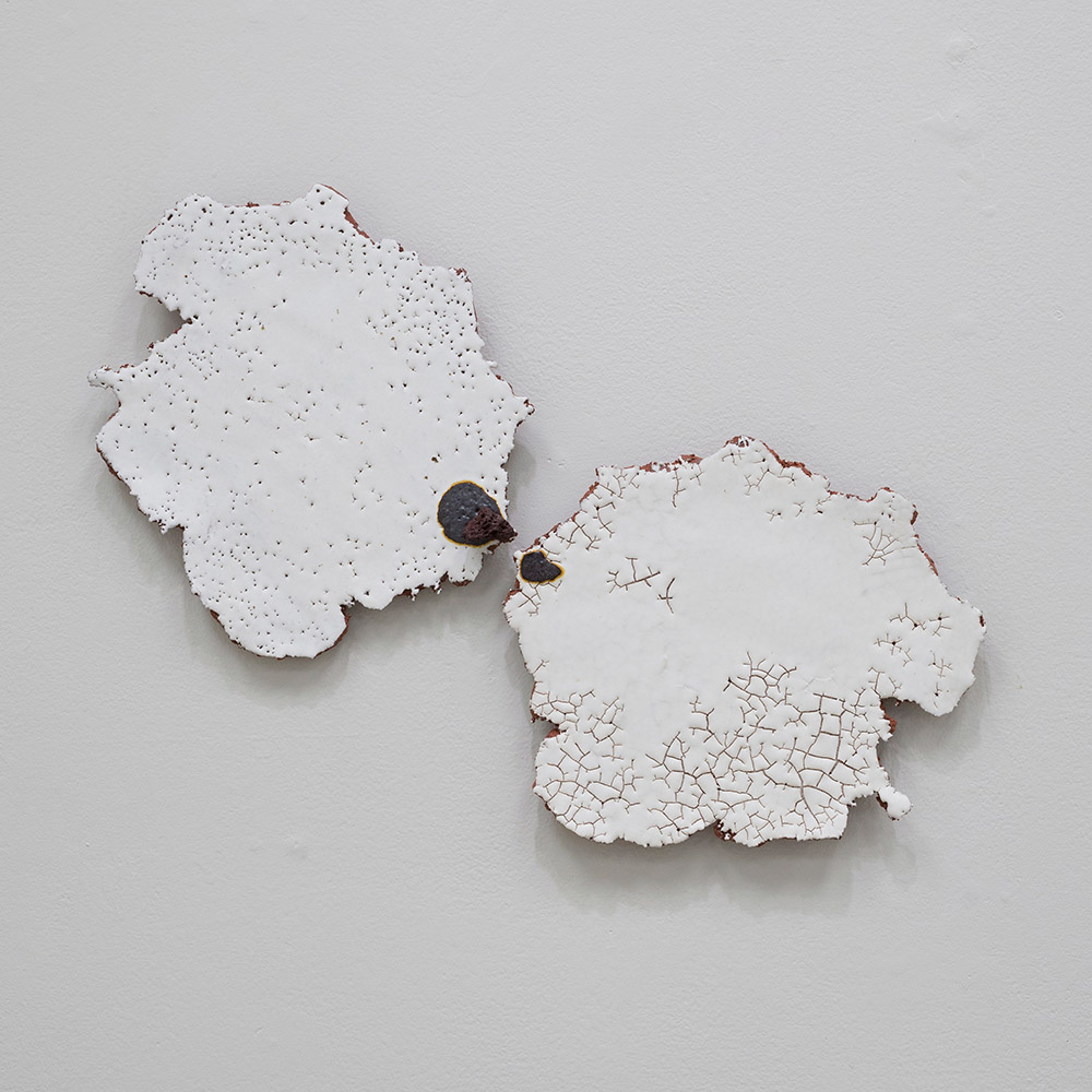 Louise Deroualle, “Shadows and reflections”