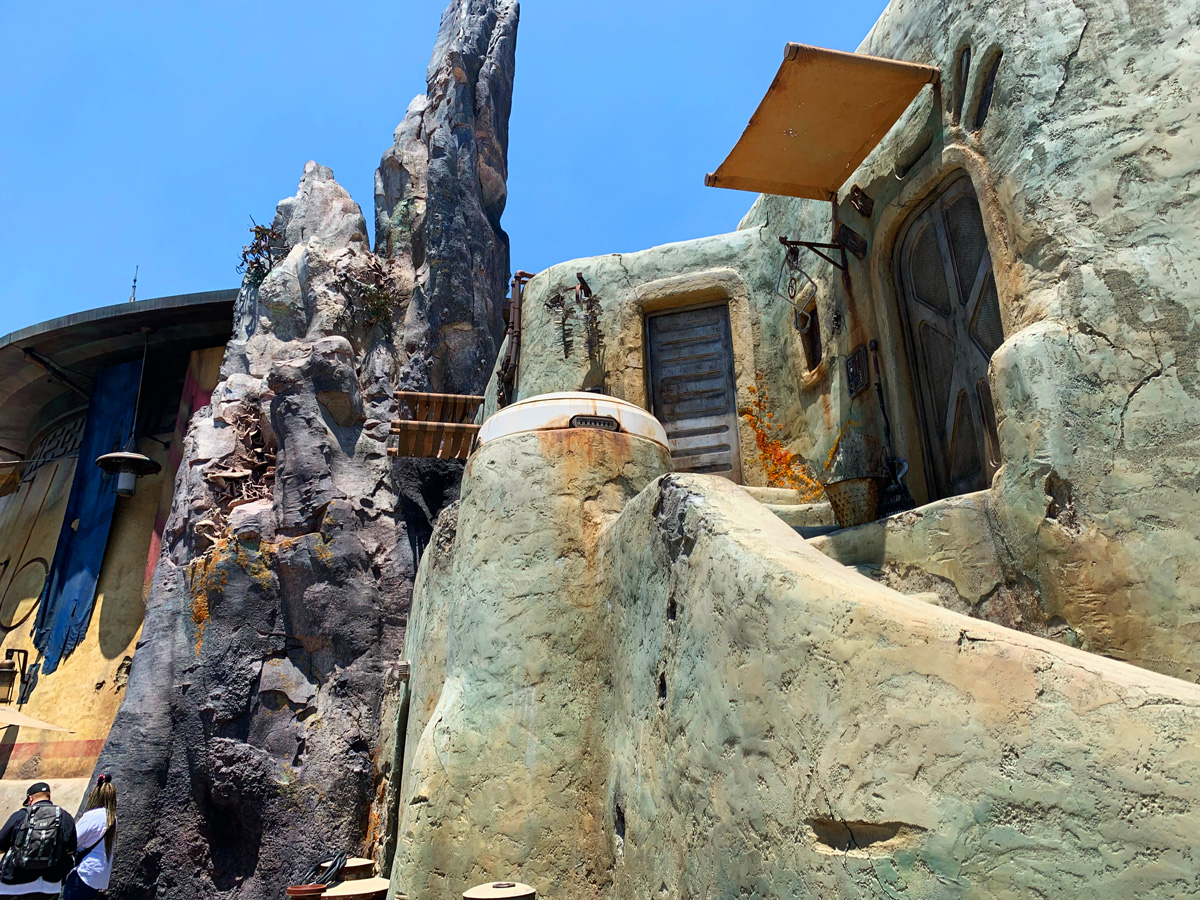 Disneyland Fantasy Landscape