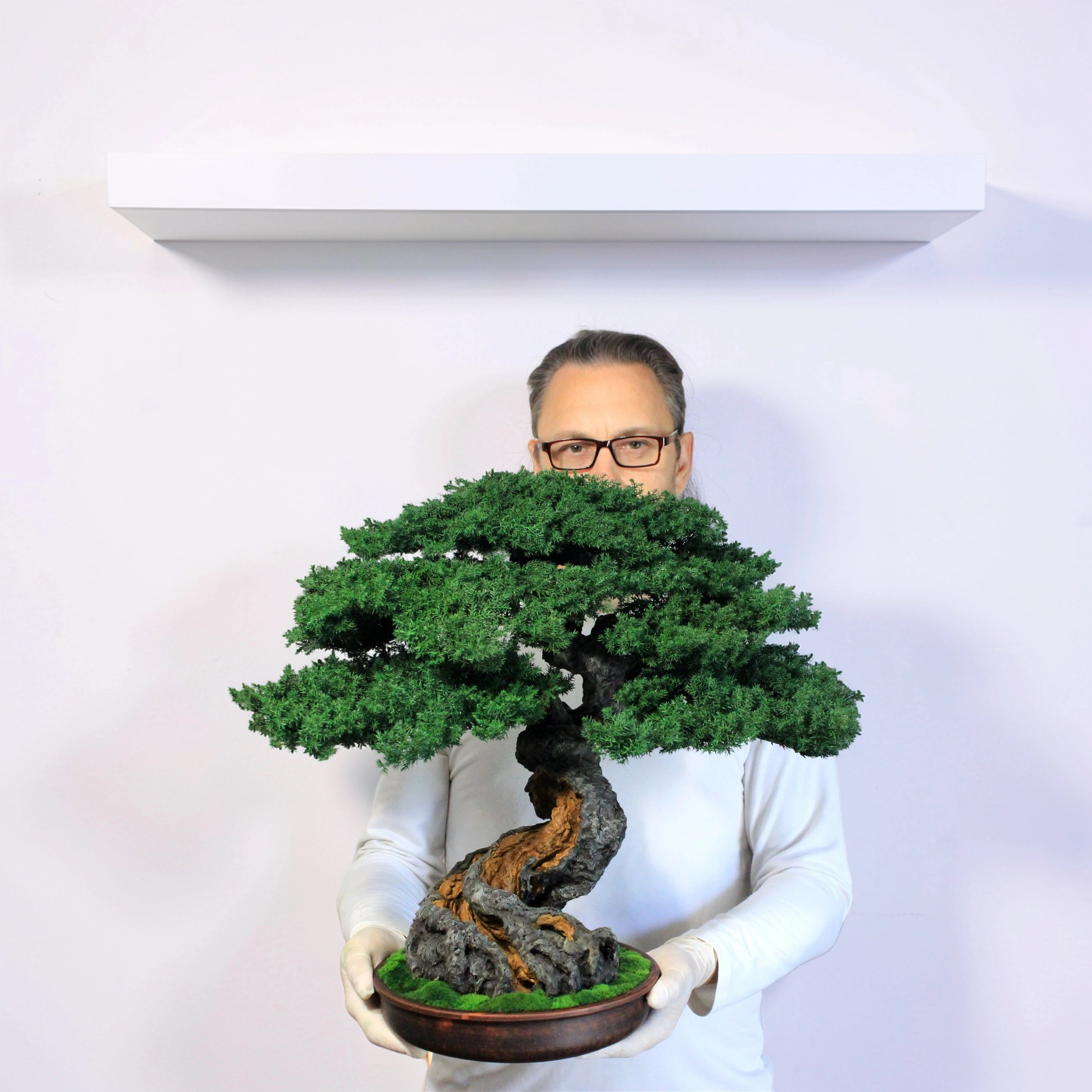 Handmade 52 cm preserved juniper bonsai tree shown in the artist's hands
