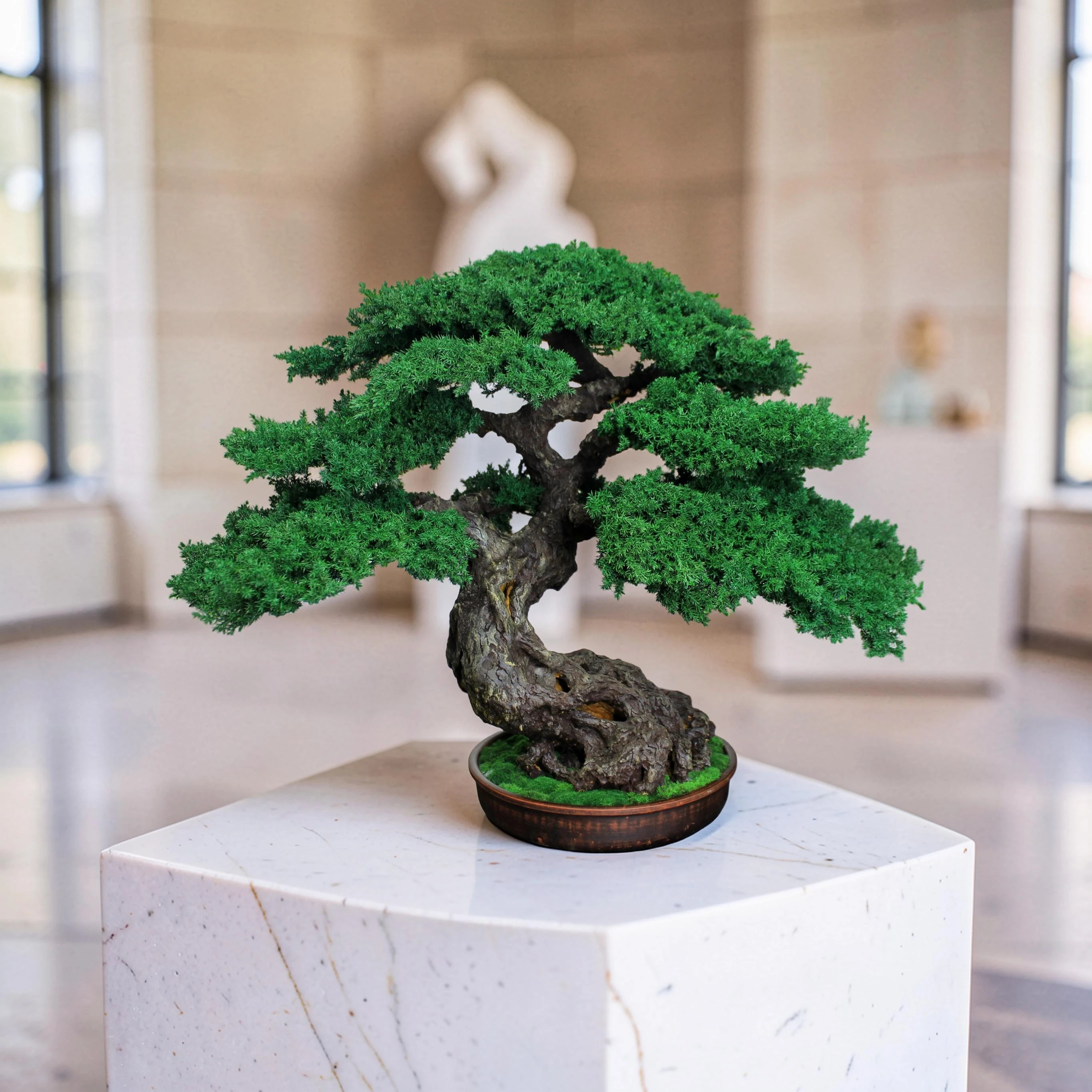 Handmade preserved juniper bonsai tree displayed as botanical art on a white gallery pedestal.