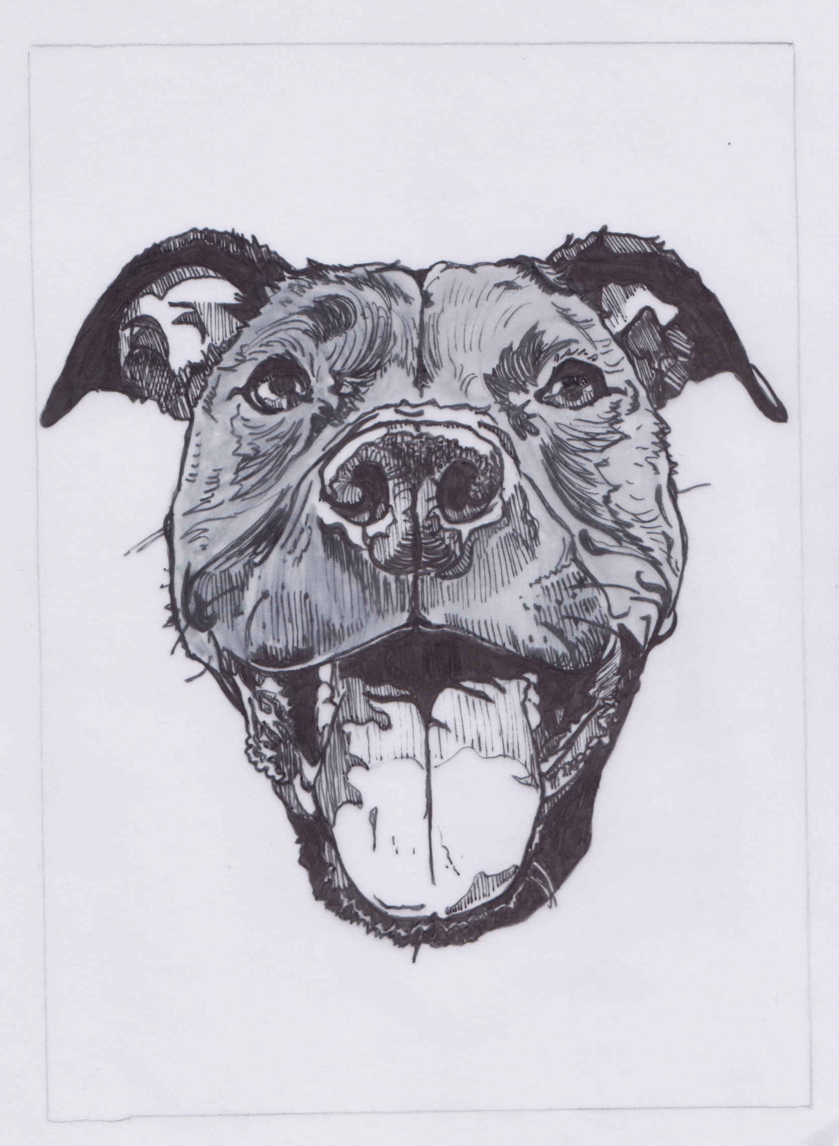 Head of a dog, black, white and grey illustration done in marker