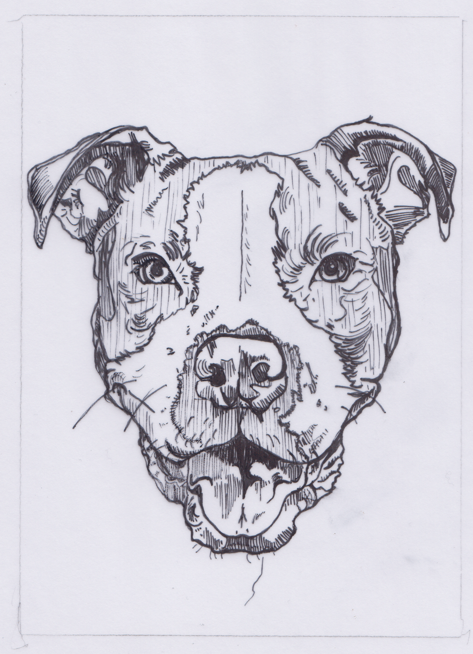 Illustration of dog head in black sharpie