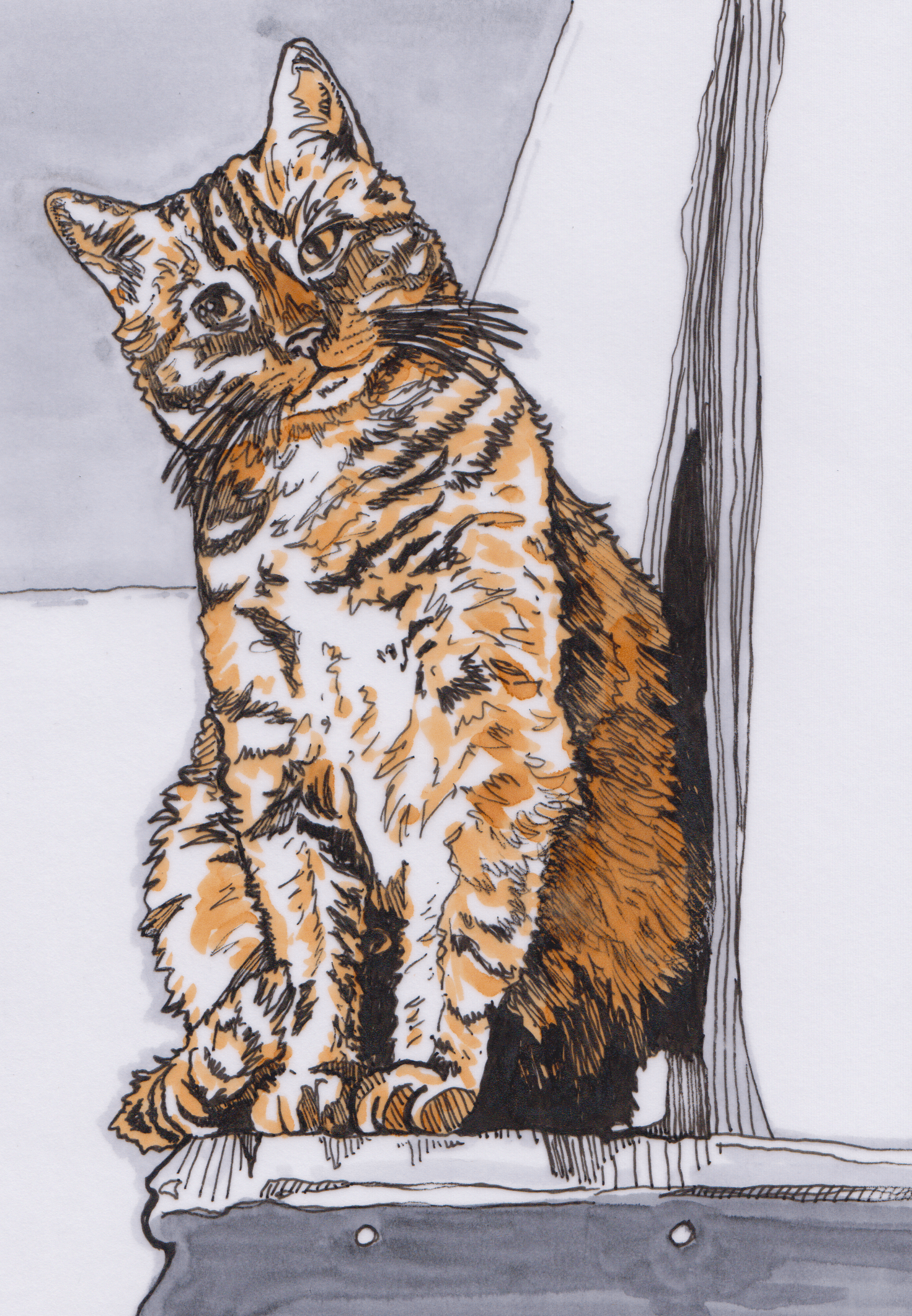 Illustration of an orange cat done in markers