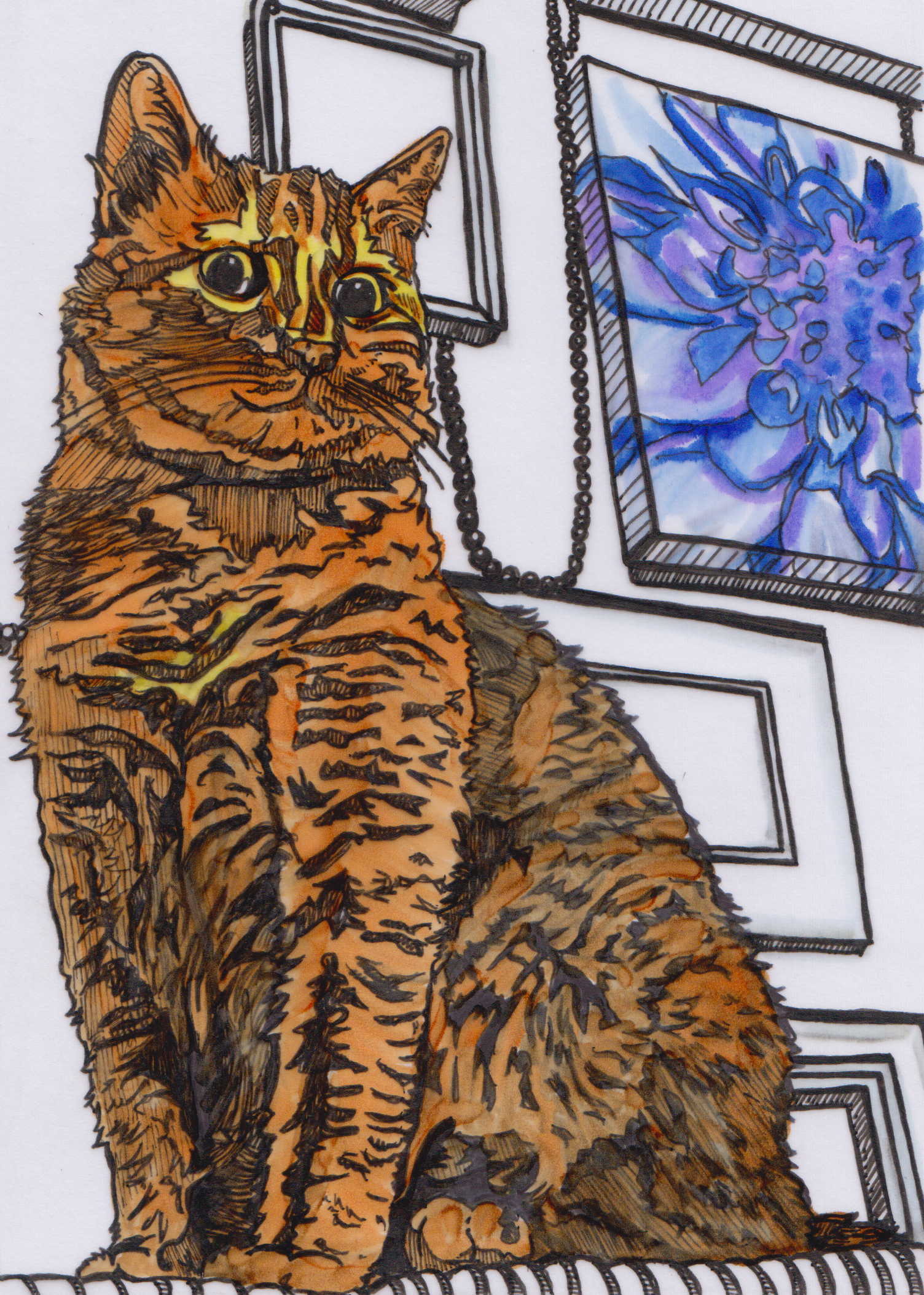 Marker portrait orange cat with flowers in the background