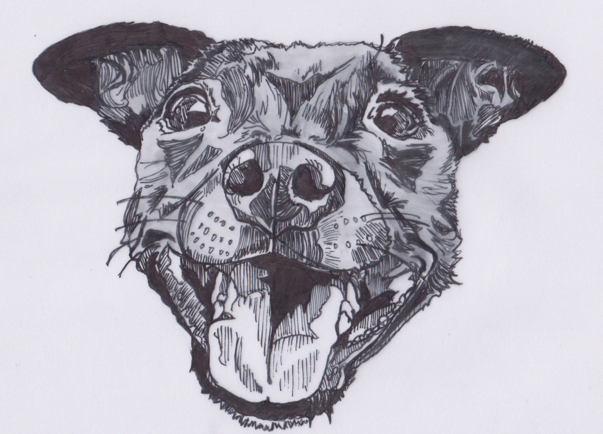 Dog head illustration in black, white, and grey markers