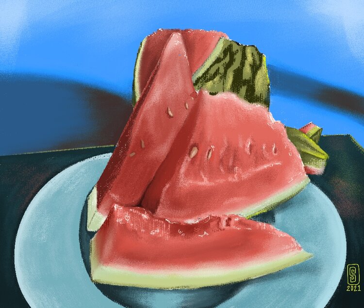 A digital painting in procreate of a watermelon