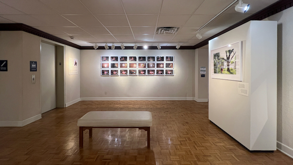 Exploring the 12×12 Project at Miller Art Museum