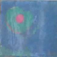 Dentelladas kiwi-marino