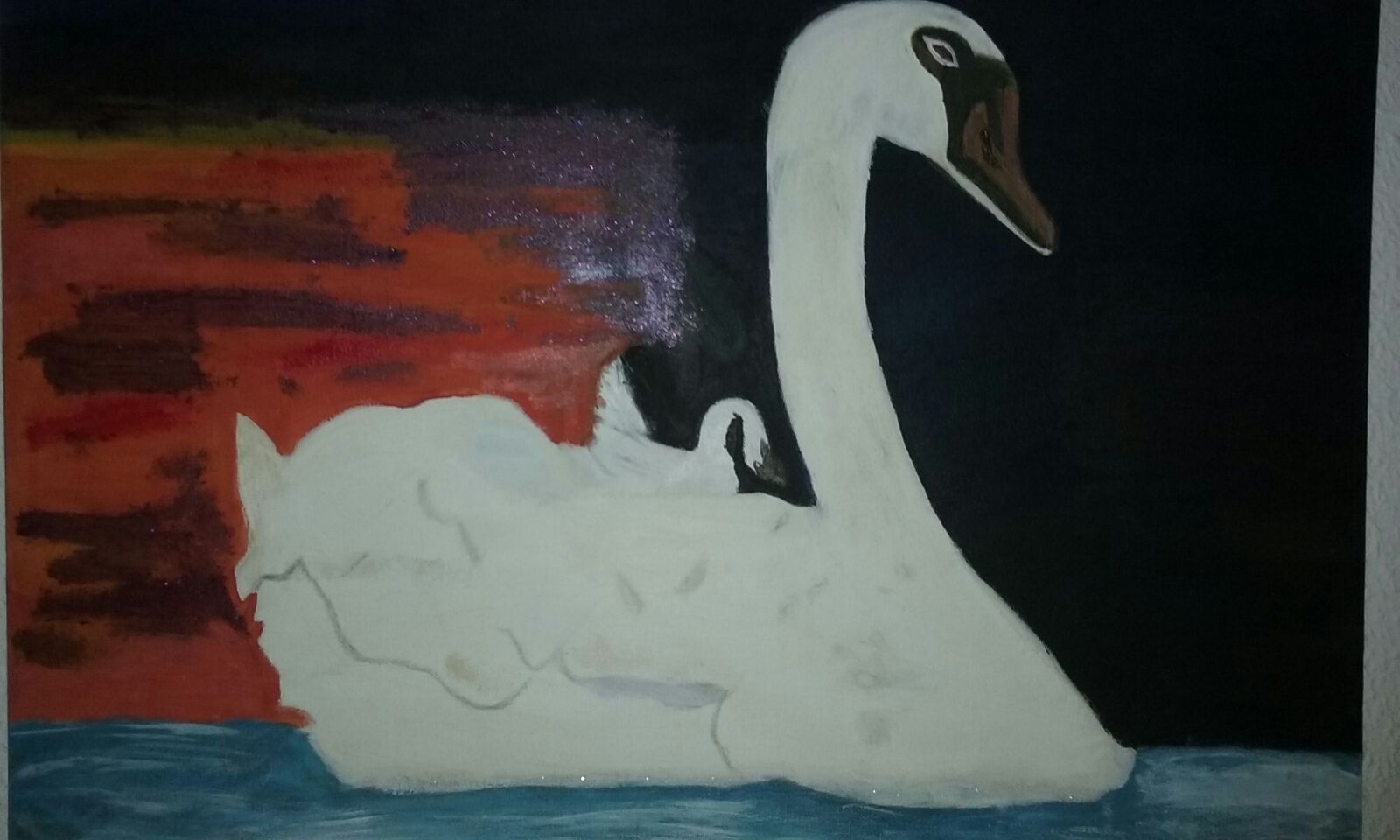 Cisnes al atardecer,2010