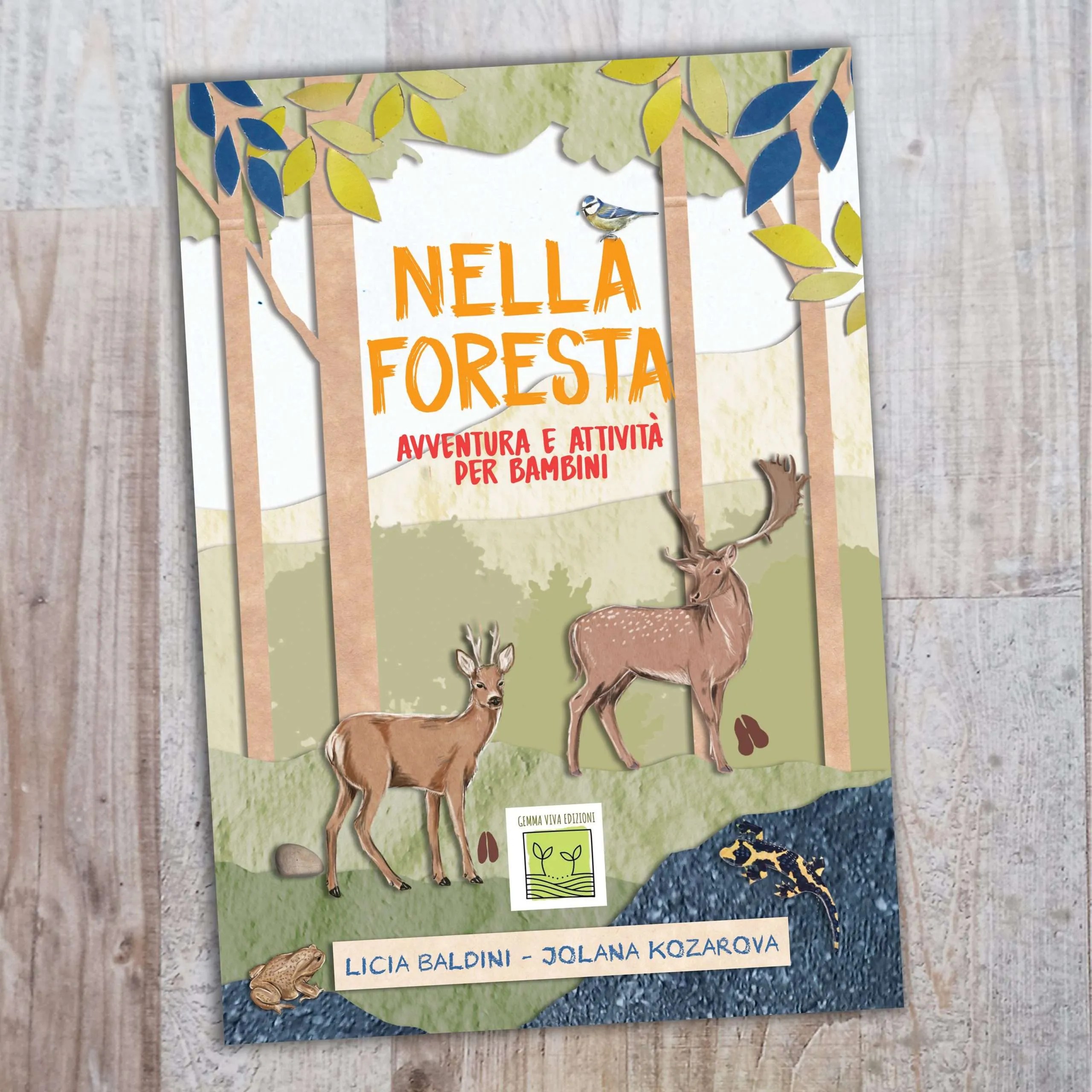 “Nella foresta – Avventura e attività per bambini” libro di Arte Green