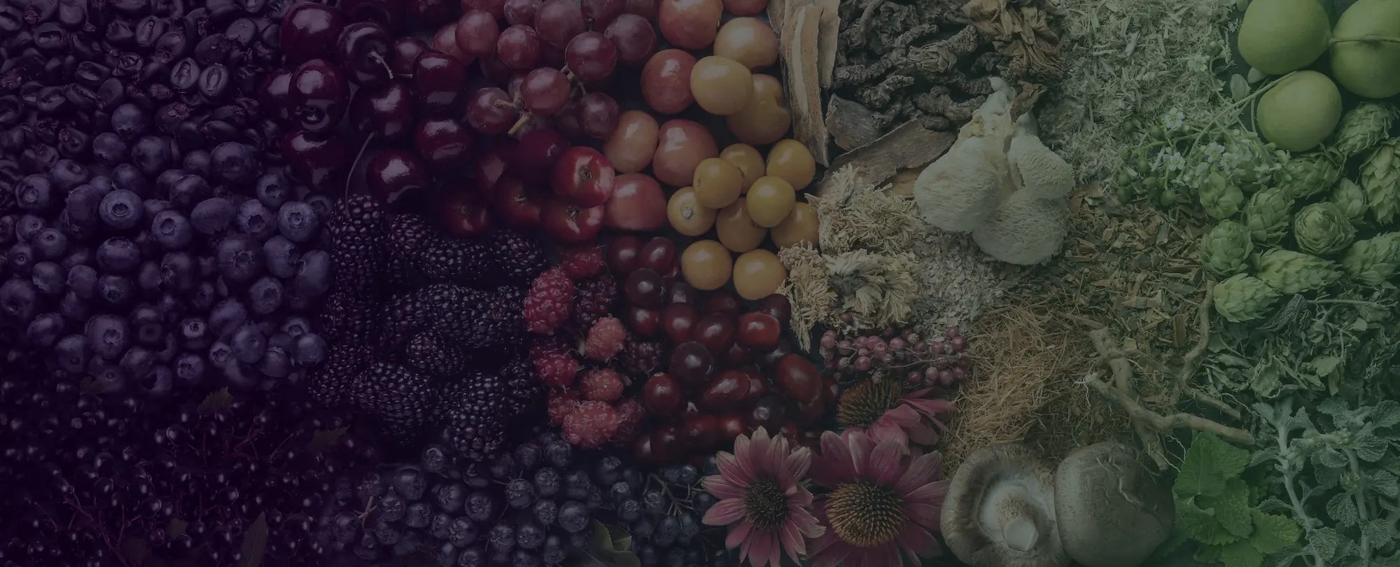 Custom Blends Artemis International - Amazing Desktop Ocean Images | Free Download