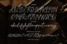Gallery image item #10