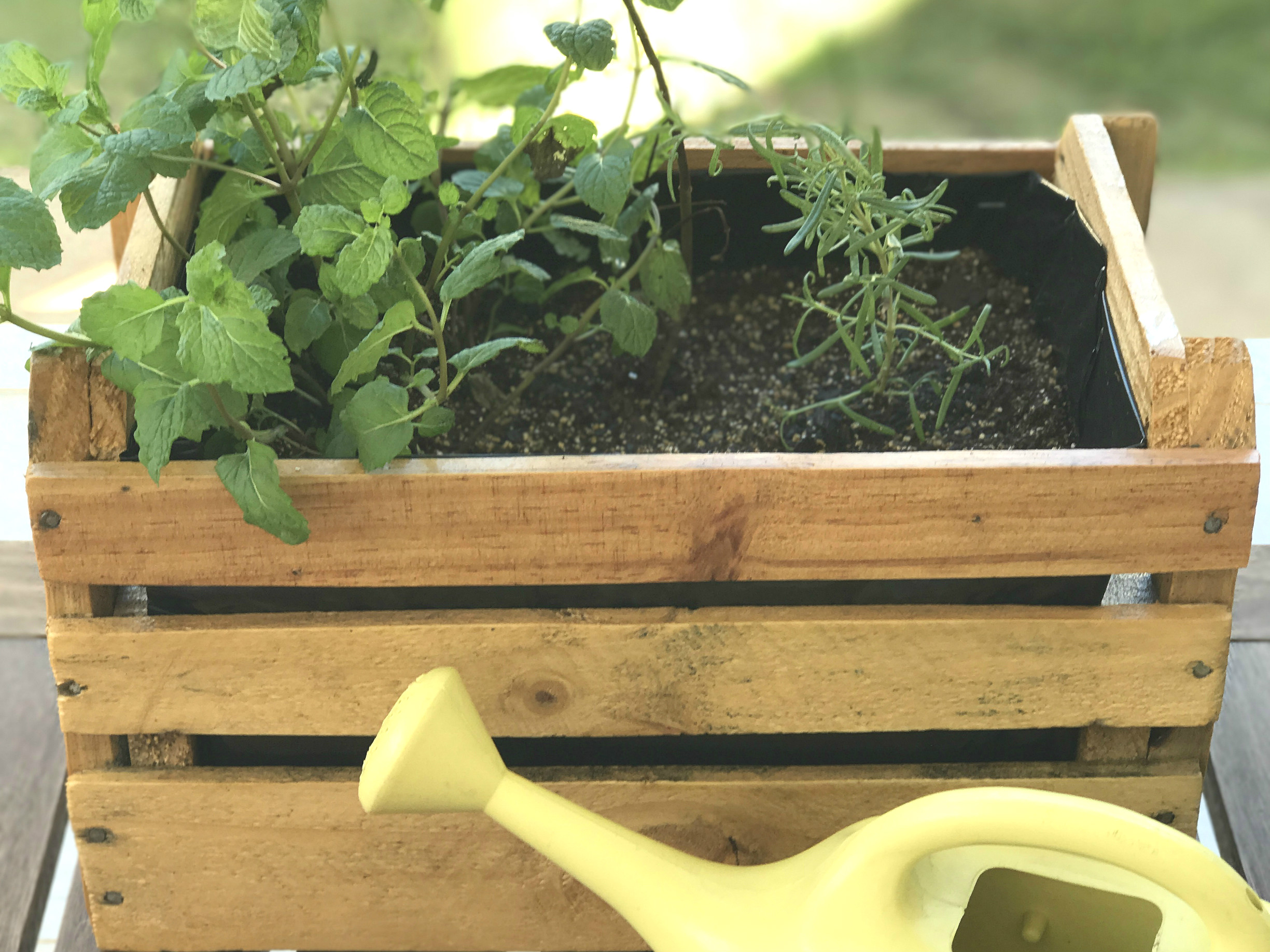 Faça Você Também – Ervas no Caixote