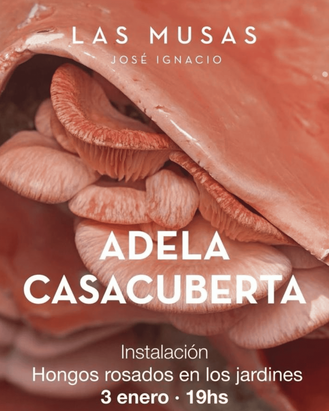 HONGOS ROSADOS EN EL JARDÍN – ADELA CASACUBERTA – LAS MUSAS