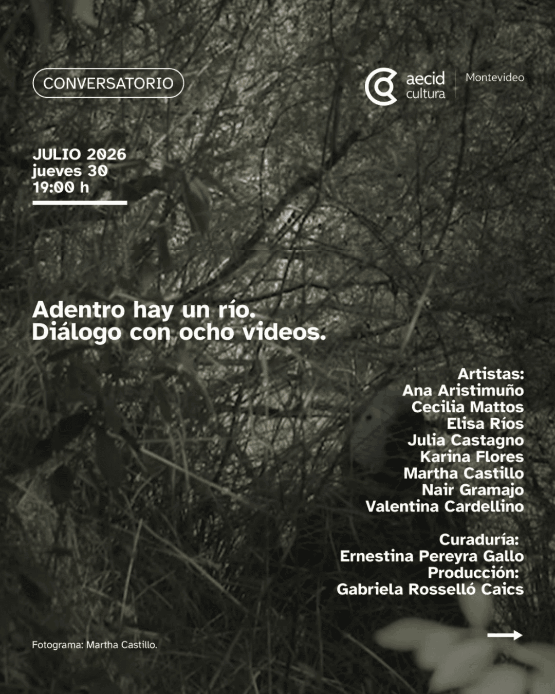 Adentro hay un río. Diálogo con ocho videos – en el marco de la exposición Imitación a la vida – CCE