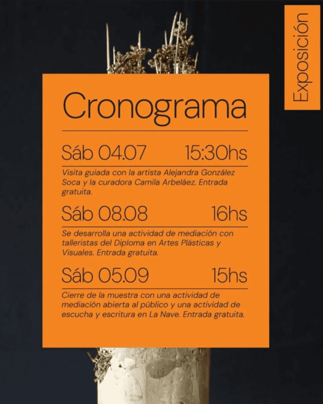 Entre Aguas – Alejandra González Soca – Cronograma de actividades – Magma Futura