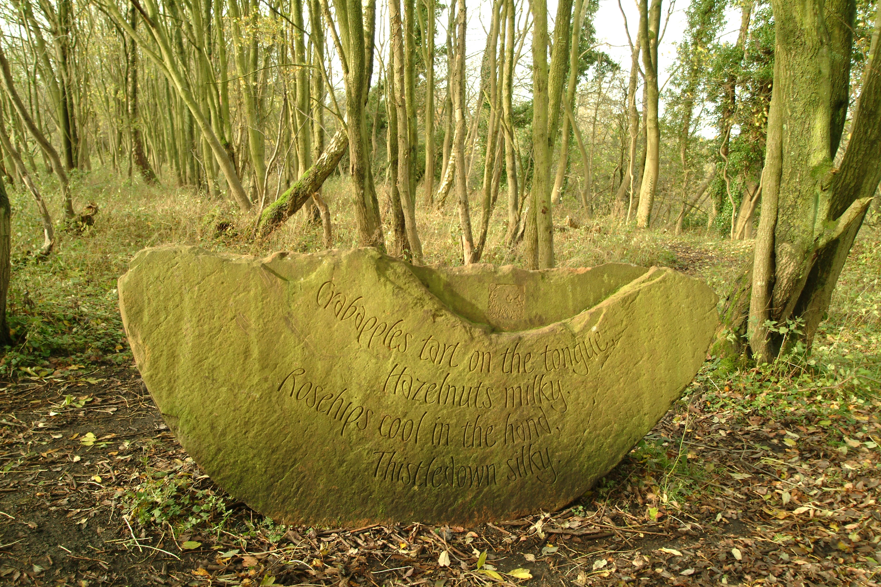 One of the Poetry Stones by Meg Peacock