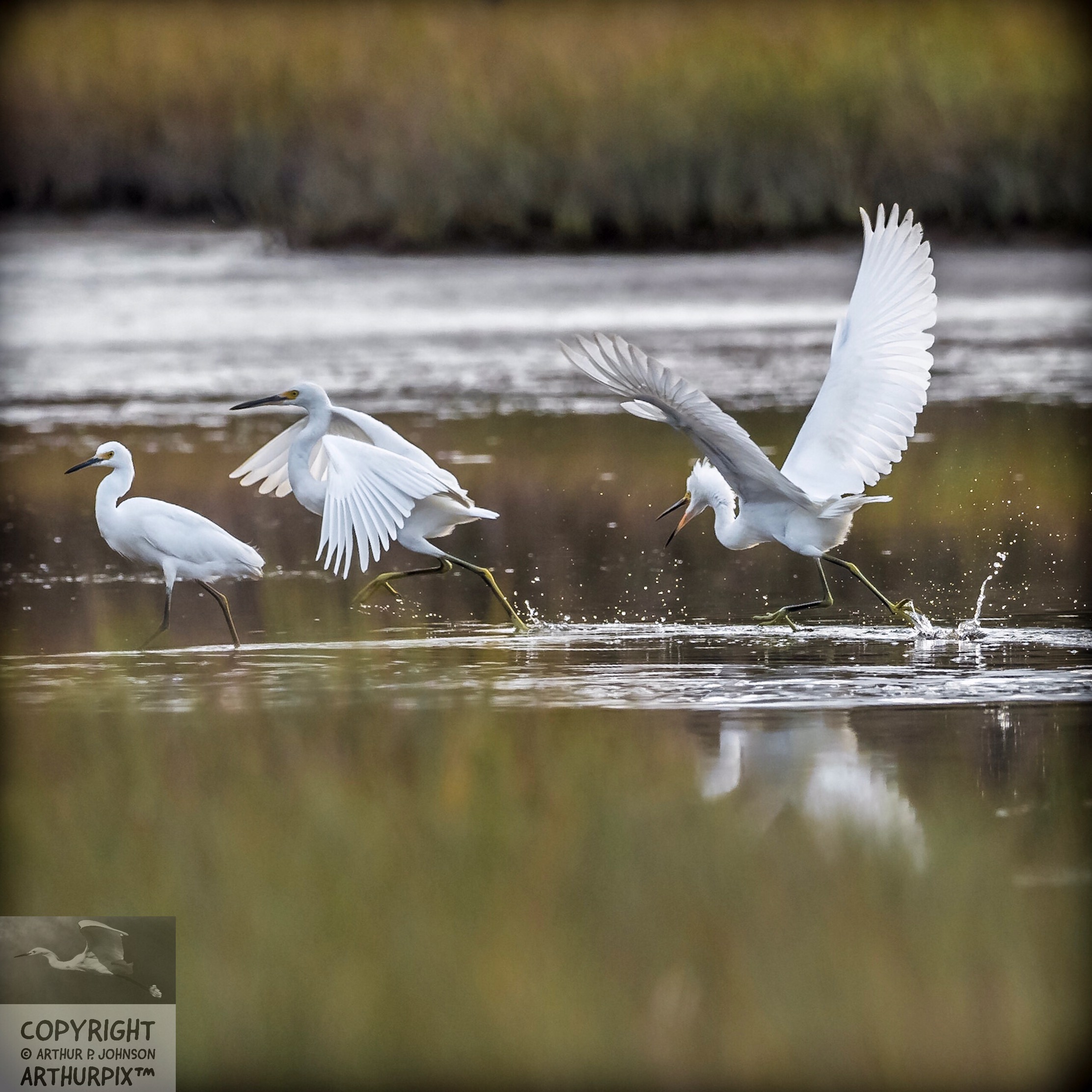 His sisters notice, but keep going.