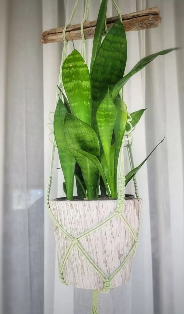 Porte-vase en macramé vert avec du bois – Image 2