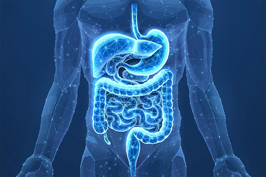 International Experts Establish First Scientific Definition of Gut Health (2026)