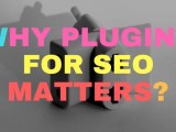 Why Plugins For Seo Matters Article Insights