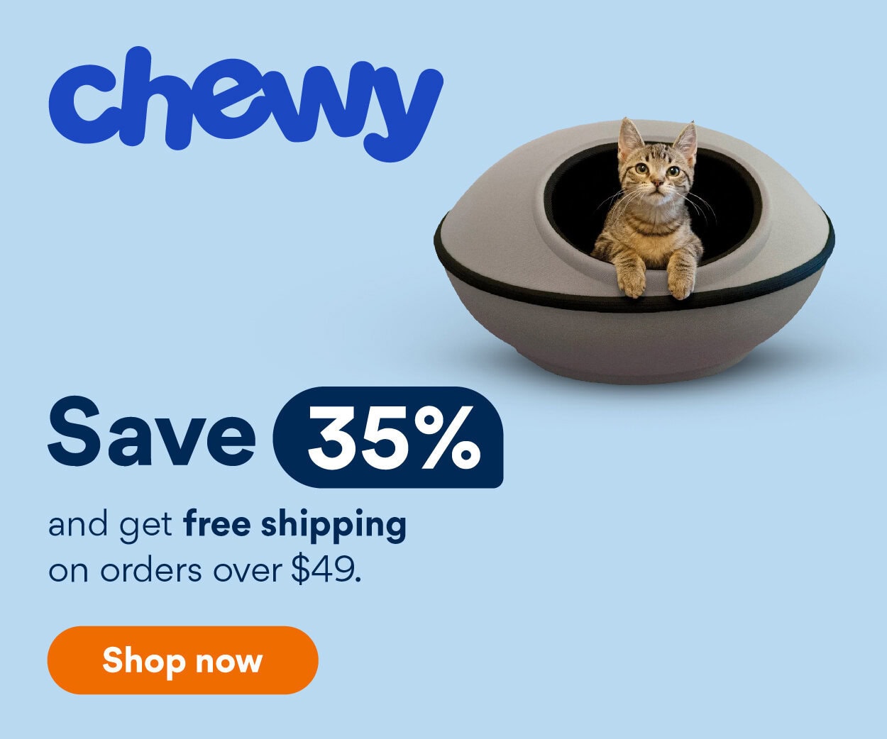 How To Surrender A Cat Critical Steps You Need To Know Hepper Pet Happy Cat 
