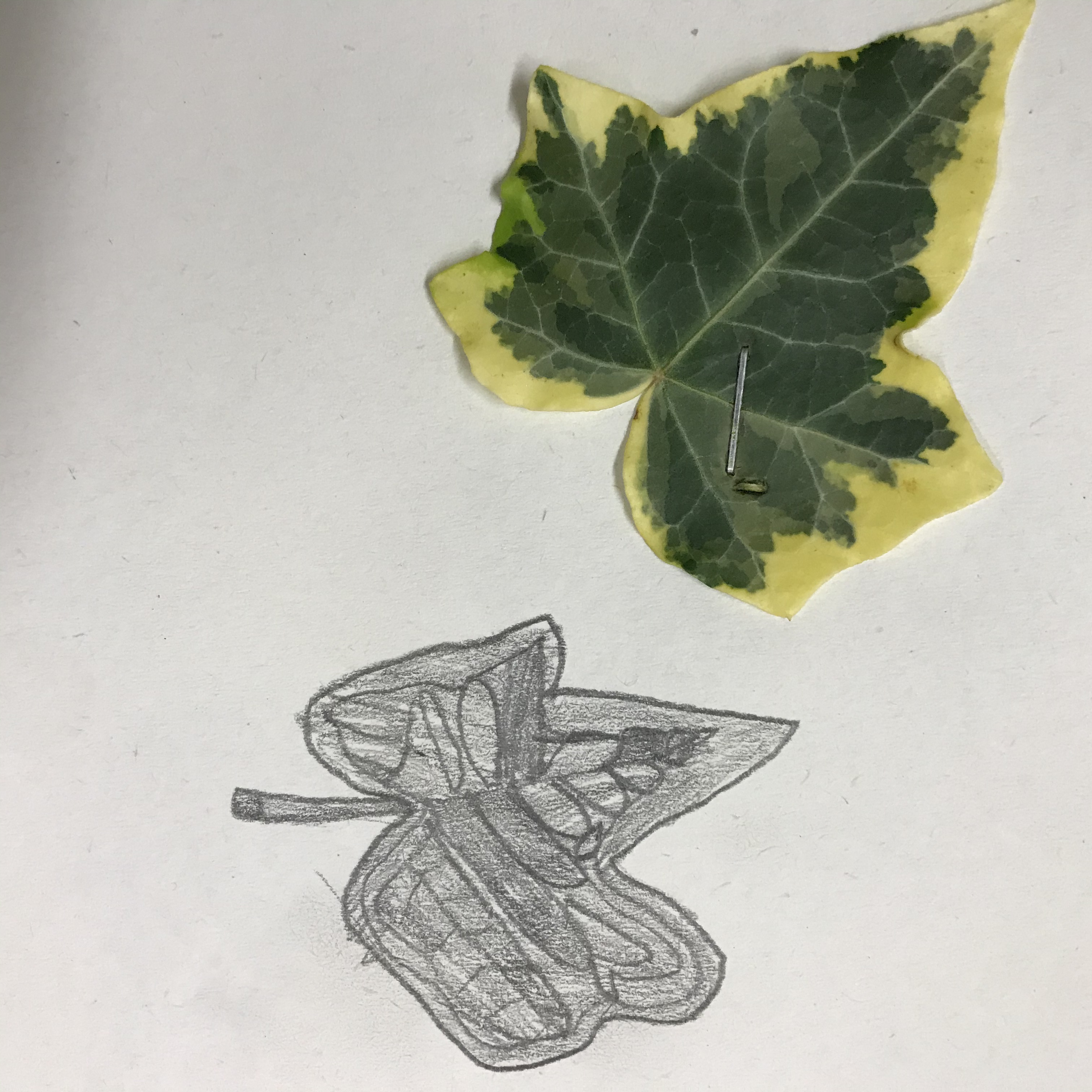 BBDFB6DA-B701-4E2D-818D-E8B7A8A8B35F