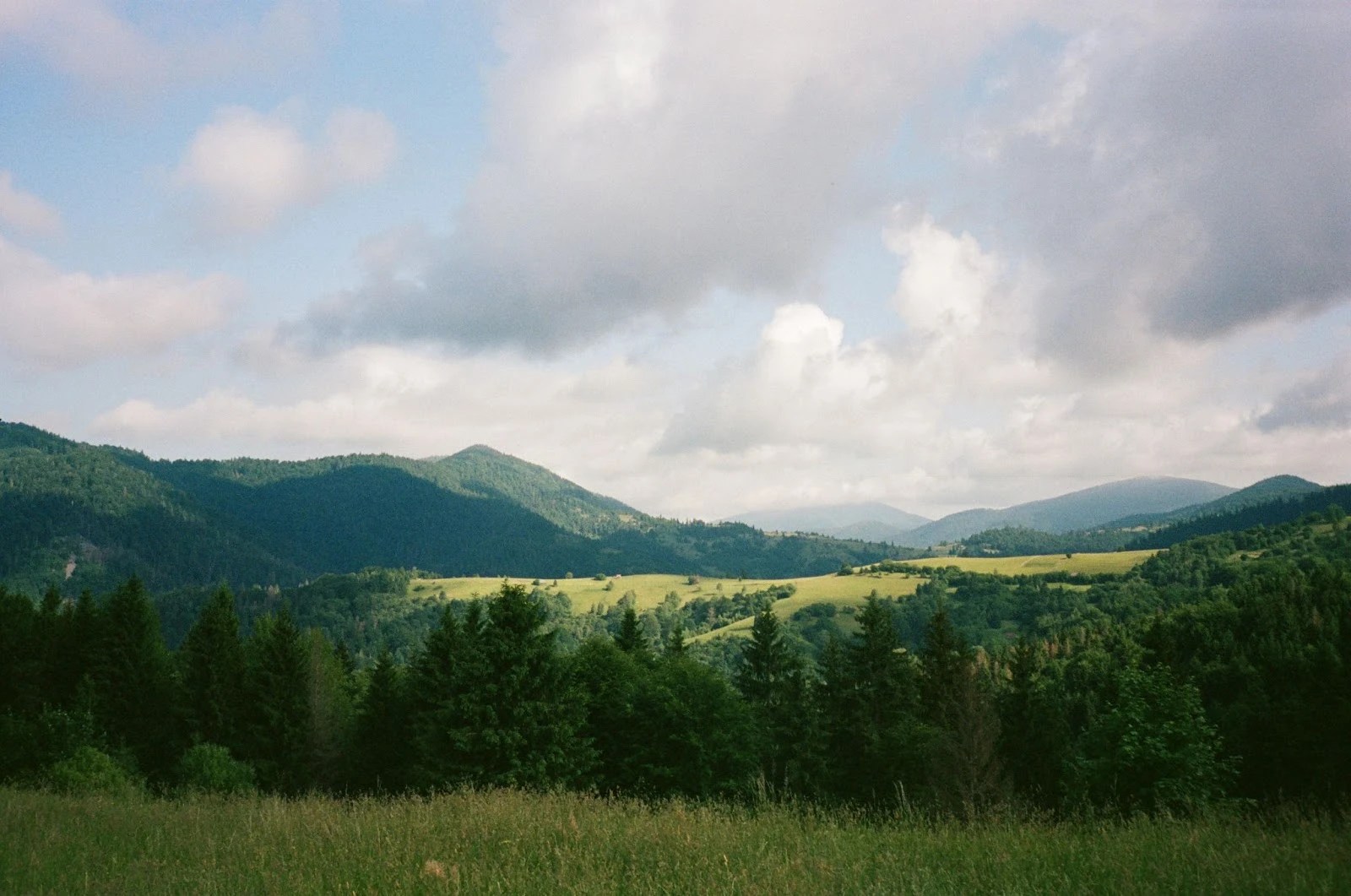 68d3aa214d4a4.webp