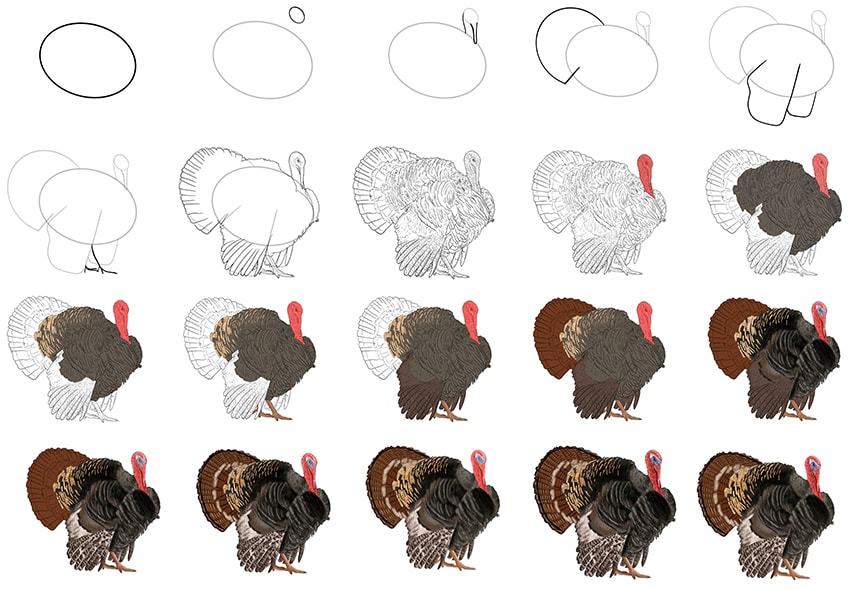 Something to do 748 3 something to do draw hair draw eyes nose and mouth draw body did you make this project? How To Draw A Turkey Our Fun And Easy Turkey Drawing Tutorial
