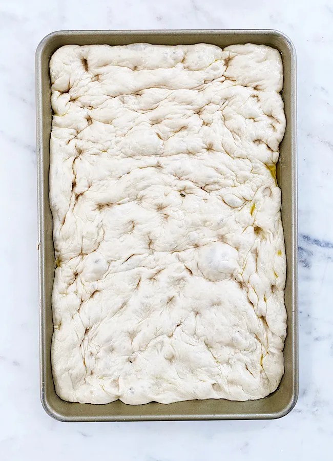 Artisan Bread In Five Master Recipe