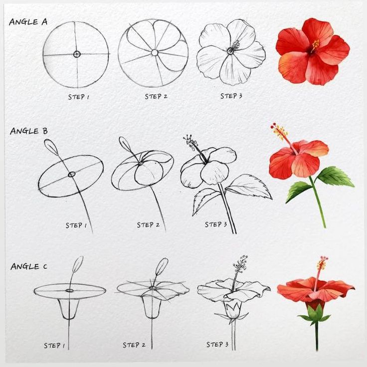 100 Easy Drawing Ideas 15