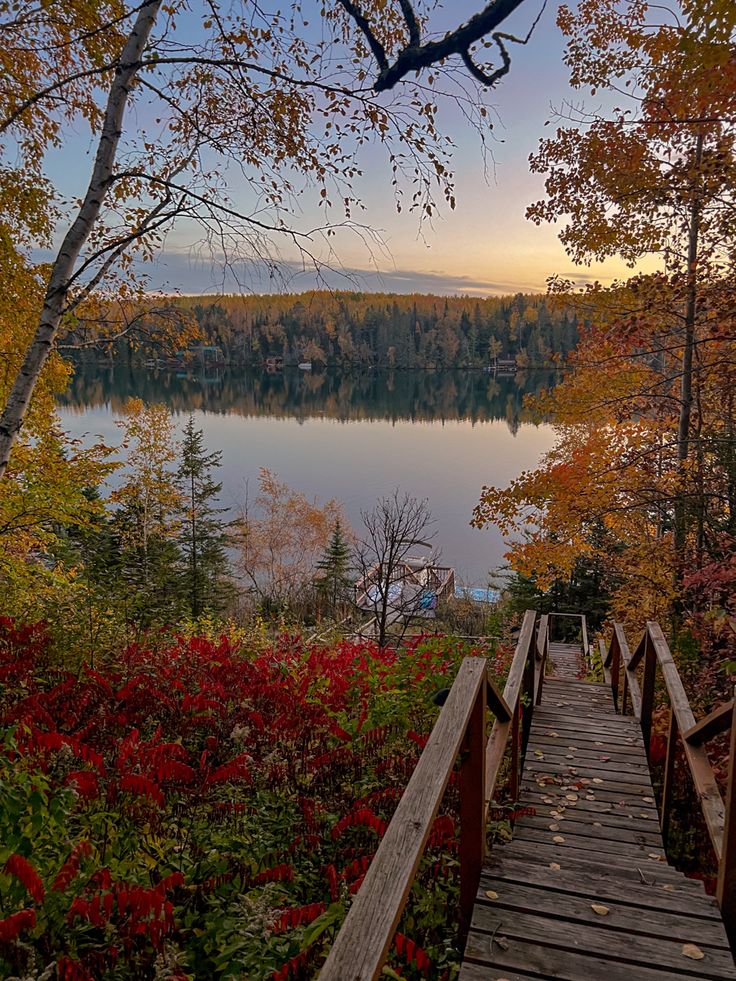 30+ Fall Wallpaper Ideas 1129