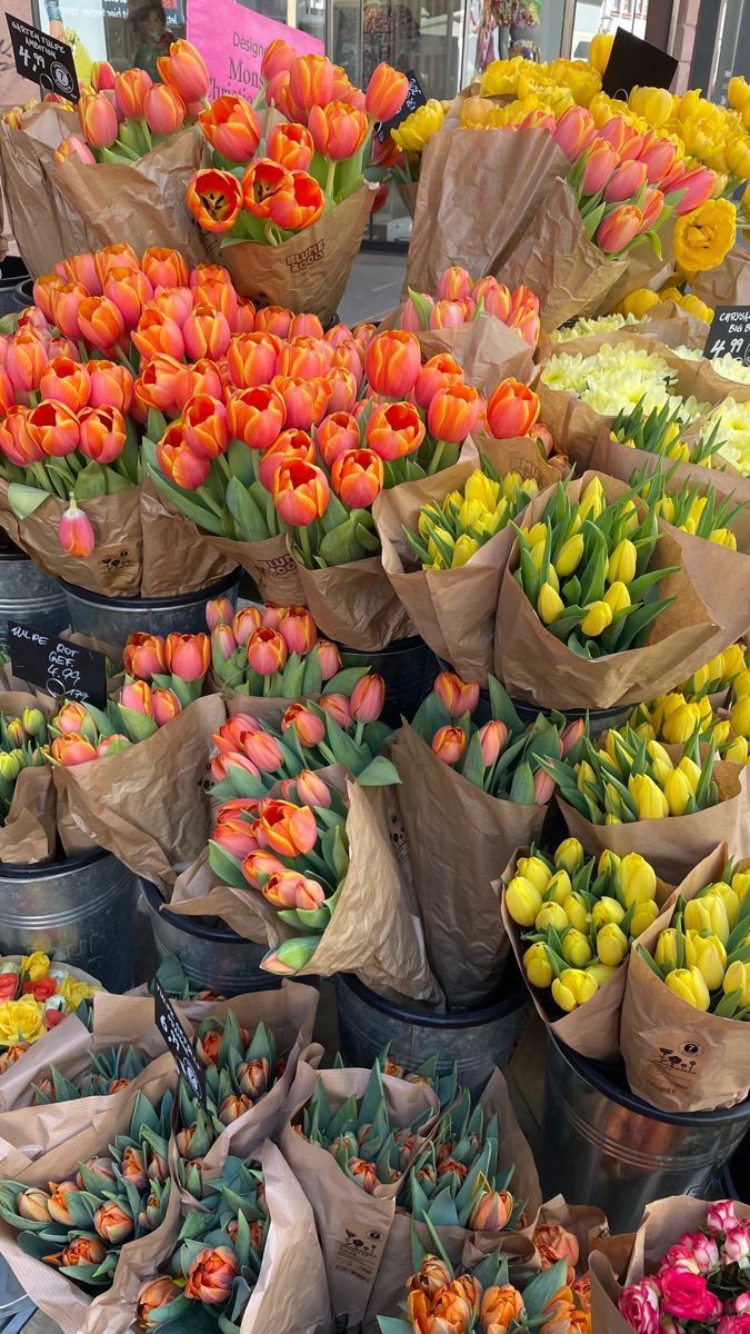 20+ Spring Aesthetic Pictures that Will Be Inspired 893