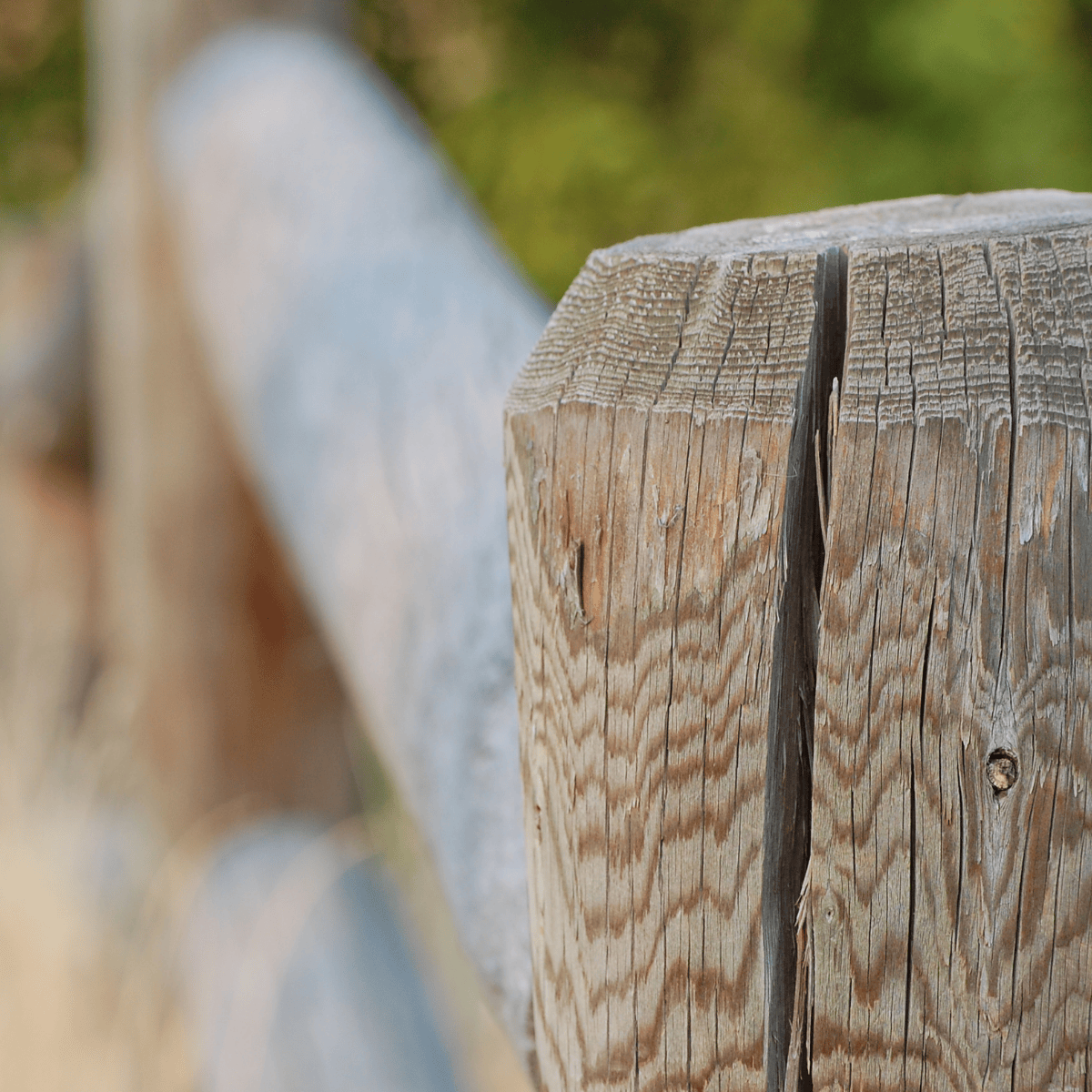Round rail post and rail fence with check in the post