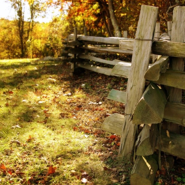 Old wood fence shot during the fall with the sun setting and leaves on the ground