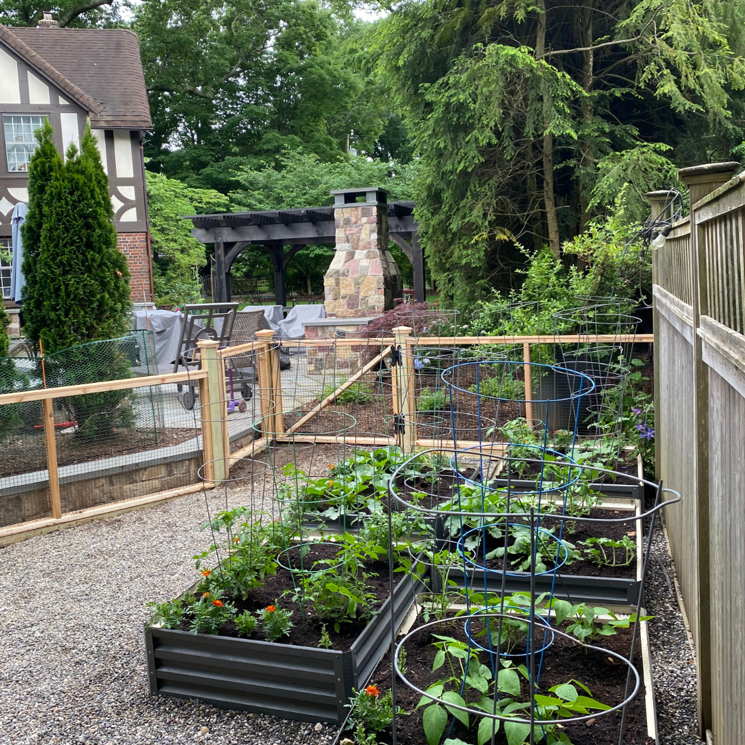 Raised vegetable garden bends with a newly installed wood and wire garden fence installed by Artistic Fence Company or Northern NJ in June 2024