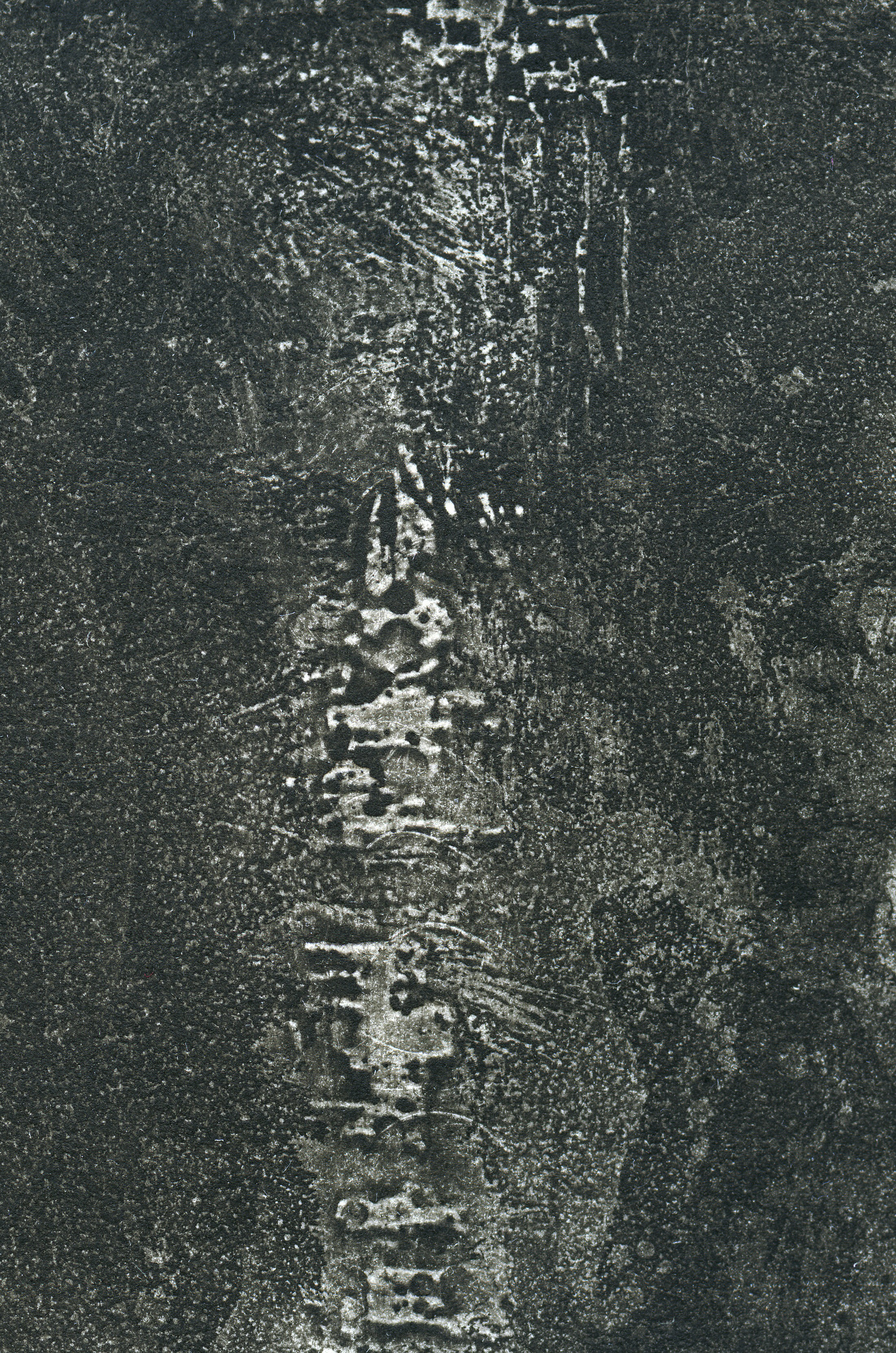 Untitled VII (detail)