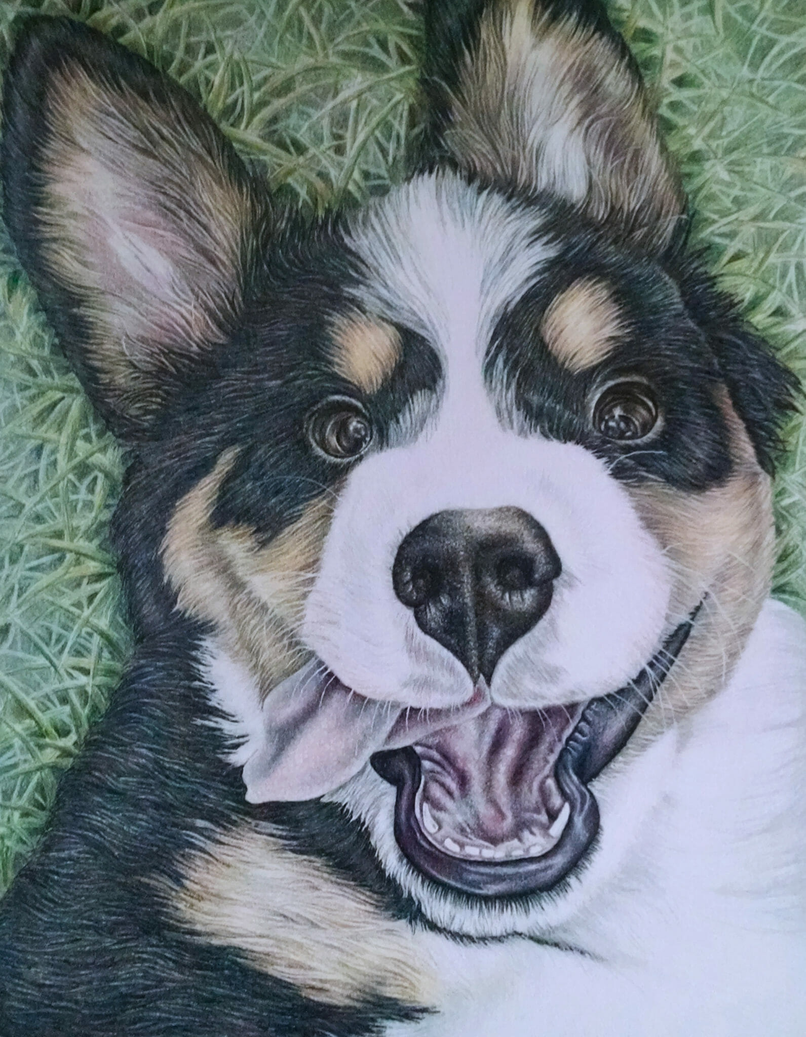 Pet Portrait Art - Hand drawn dog